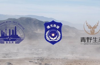 福特